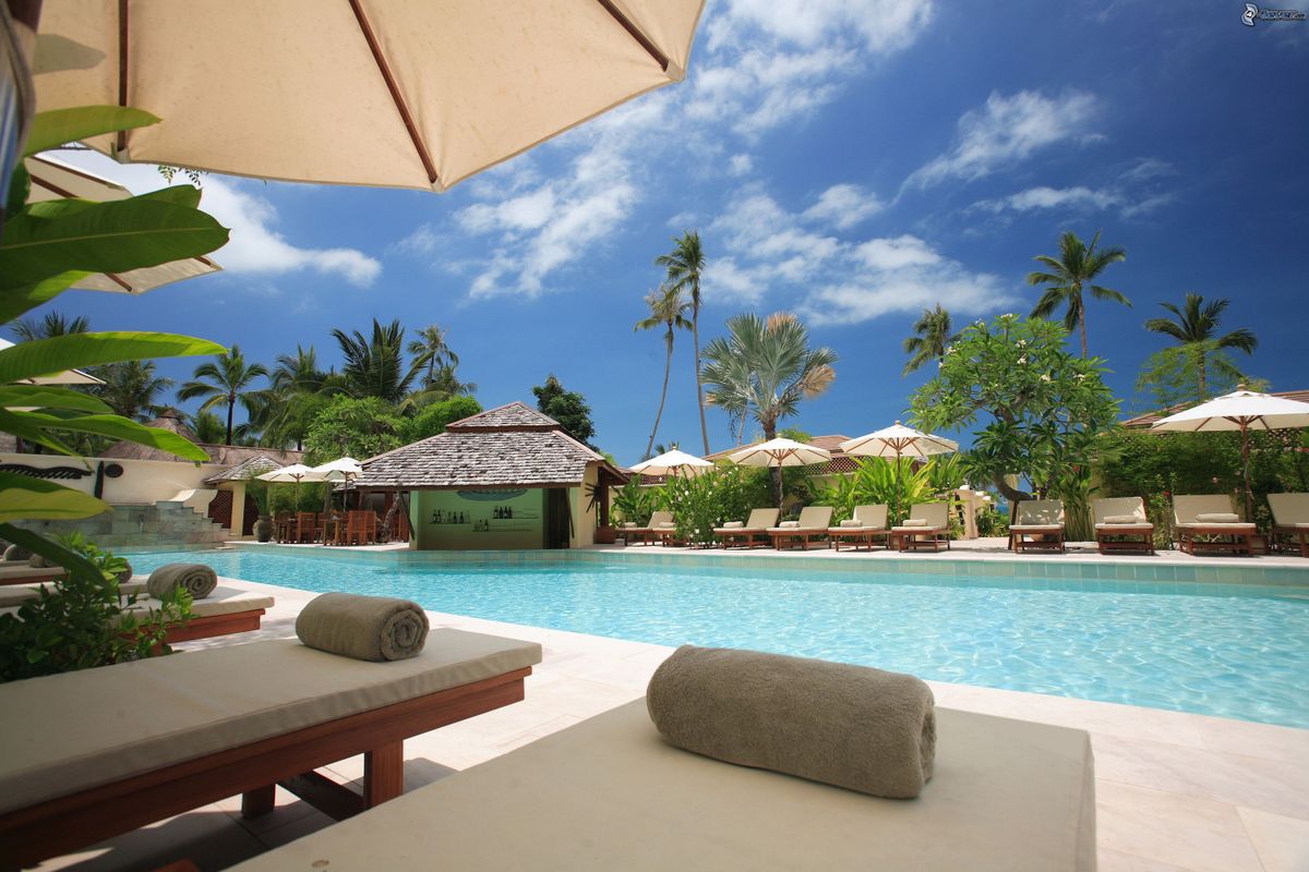 A resort pool surrounded by palms